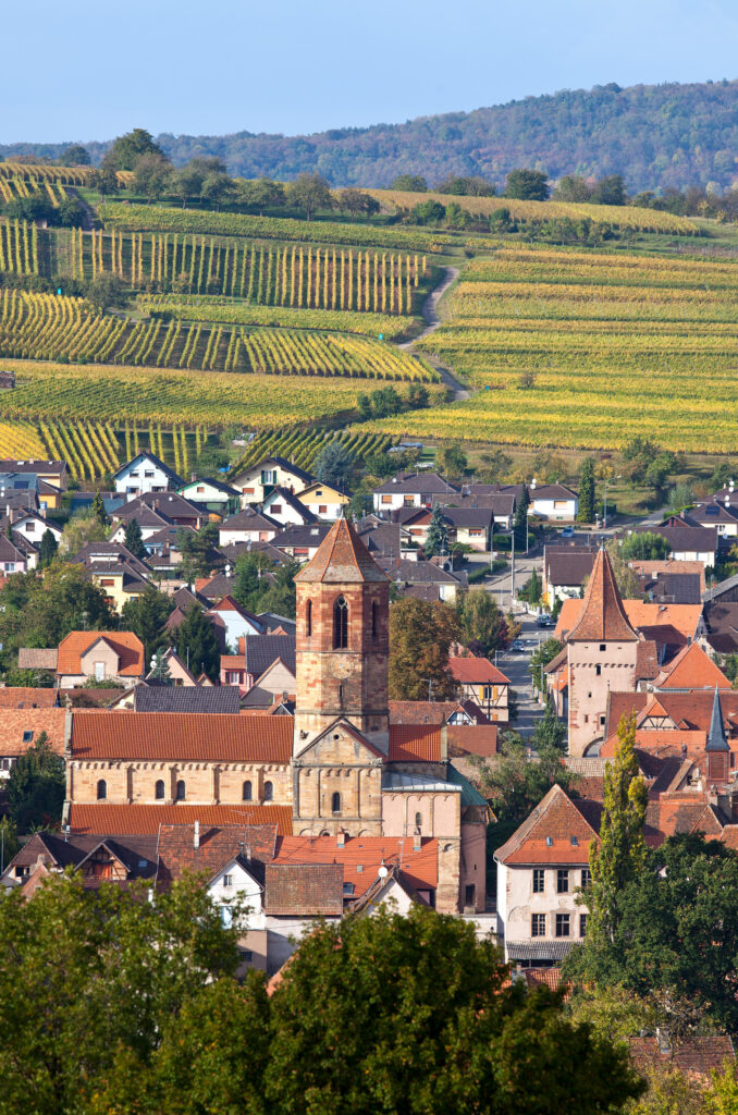 Rosheim et le vignoble alsacien