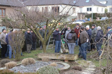 Photo atelier taille d'arbres fruitiers