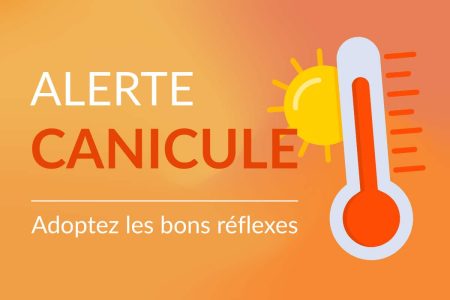 Canicule