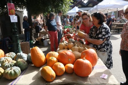 Fête de la Citrouille 2024