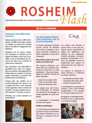 Image Rosheim Flash N12